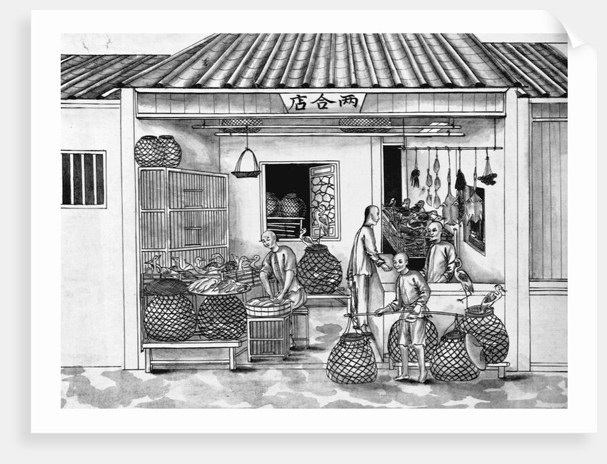 Eighteenth Century Chinese Drawing of a Butcher Shop by Anonymous
