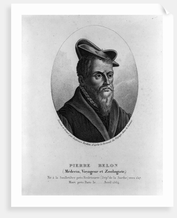 Pierre Belon by Anonymous