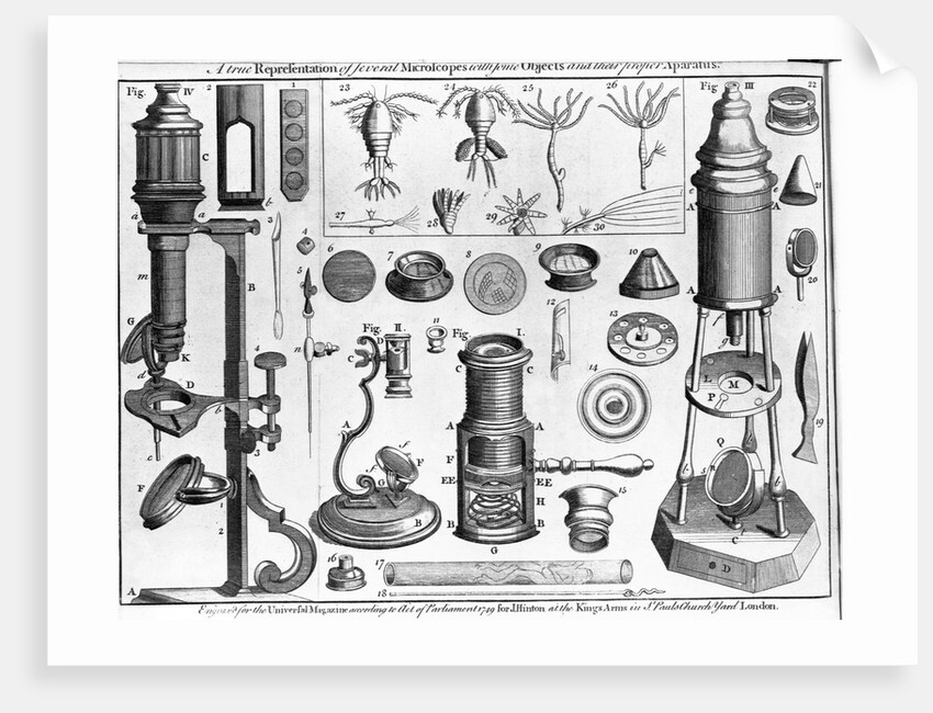 Eighteenth Century English Engraving Assorted Microscopes and Apparatus by Anonymous