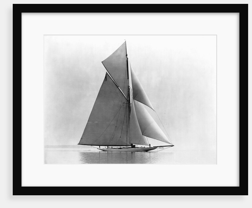 Yacht Reliance at Full Sail by Anonymous