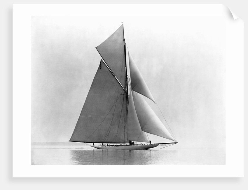 Yacht Reliance at Full Sail by Anonymous