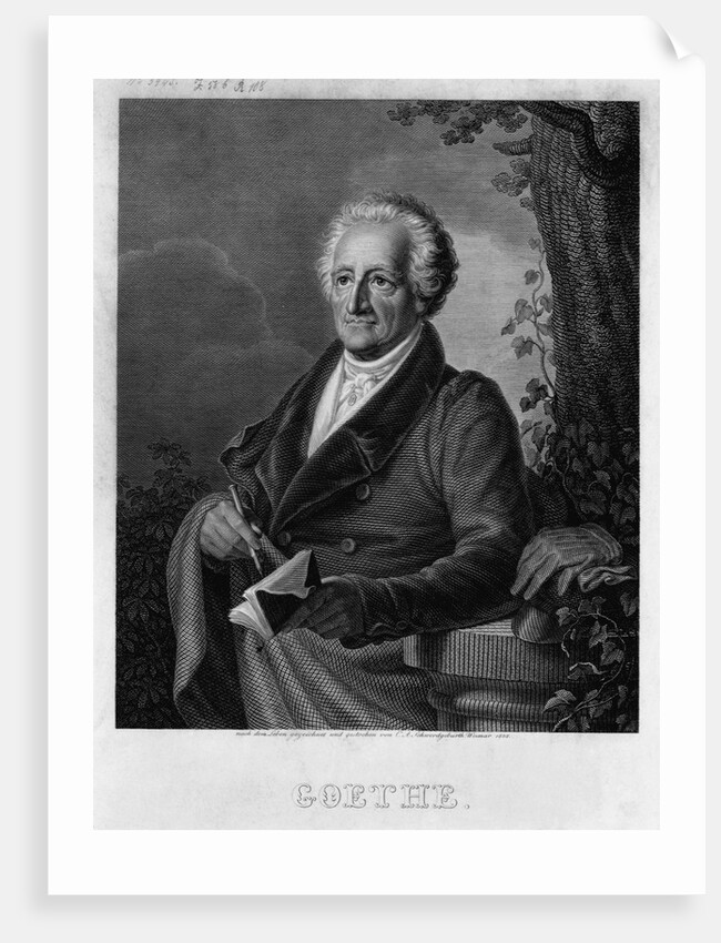 Goethe Engraving by Anonymous