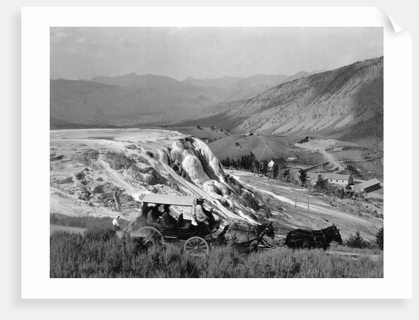 Stagecoach at Mammoth Hot Springs by Anonymous