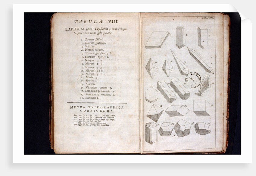 Systema Naturae. 1756 by Anonymous