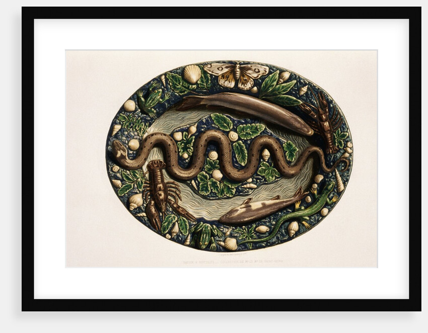 Monographie de l'oeuvre de Bernard Palissy by Anonymous