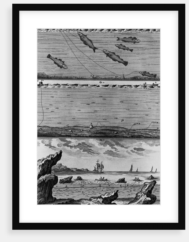 Engraving of Cod Fishing by Anonymous