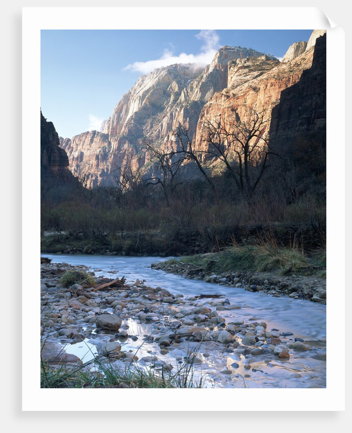 Virgin River in Zion Canyon by Anonymous