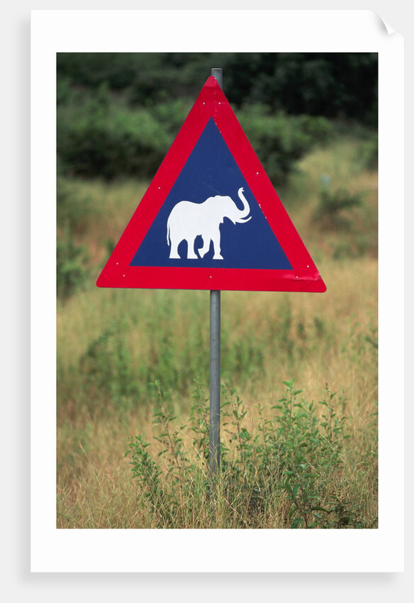 Elephant Crossing Sign by Anonymous
