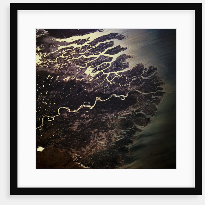 Indus River Delta by Anonymous