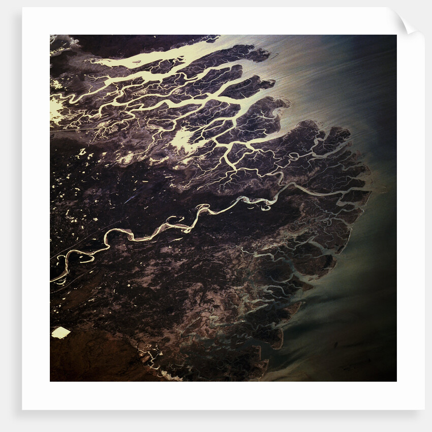 Indus River Delta by Anonymous