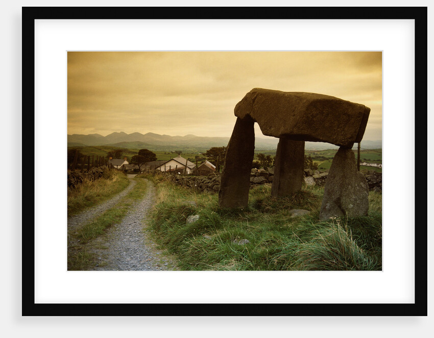 Dolmen in Irish Countryside by Anonymous