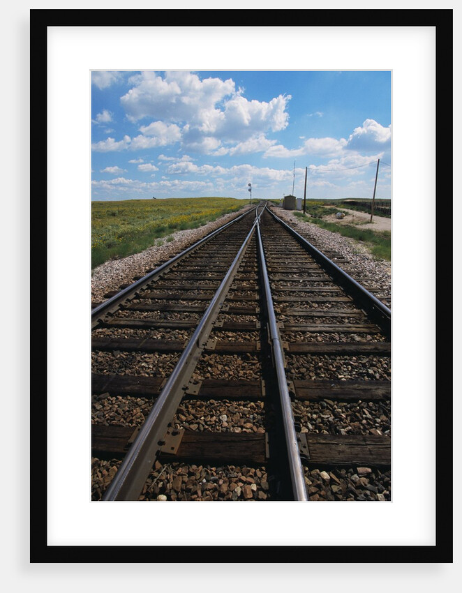 Railroad Tracks by Anonymous