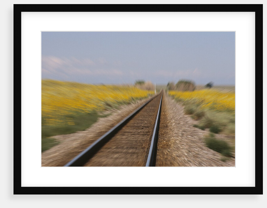 Railroad Tracks by Anonymous