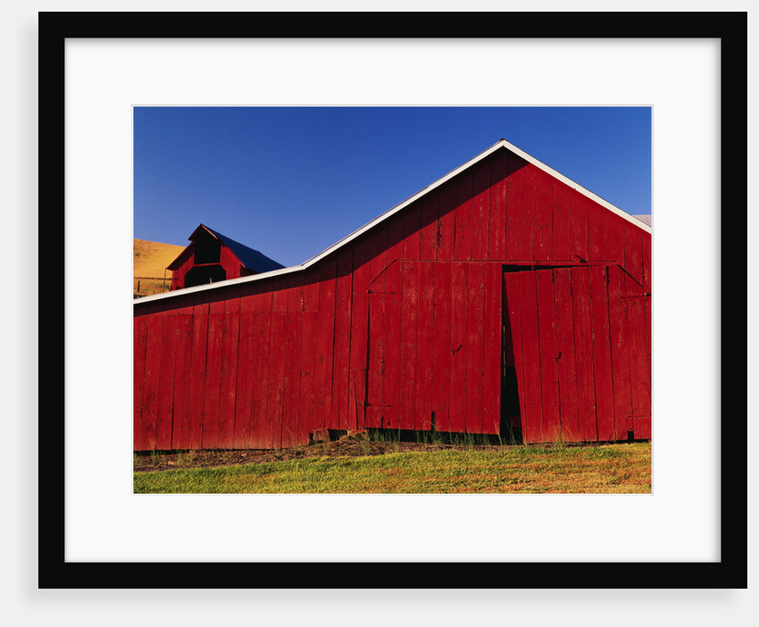 Red Barns by Anonymous