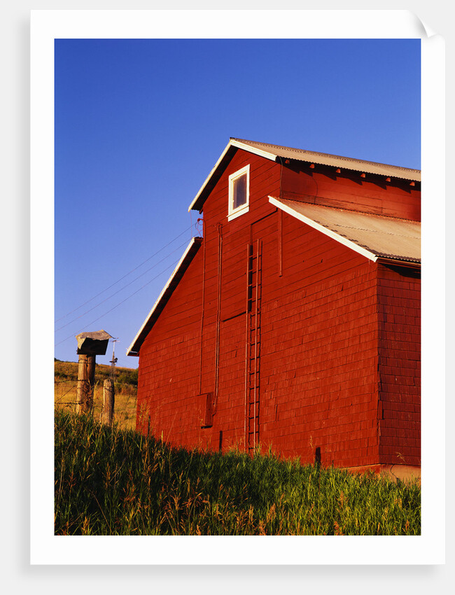 Red Barn by Anonymous