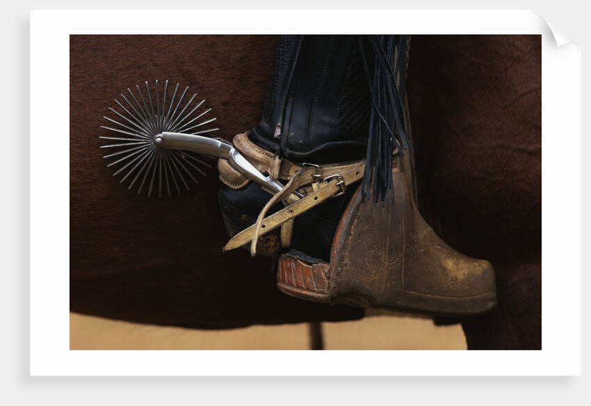 Chilean Cowboy with Elaborate Spurs by Anonymous