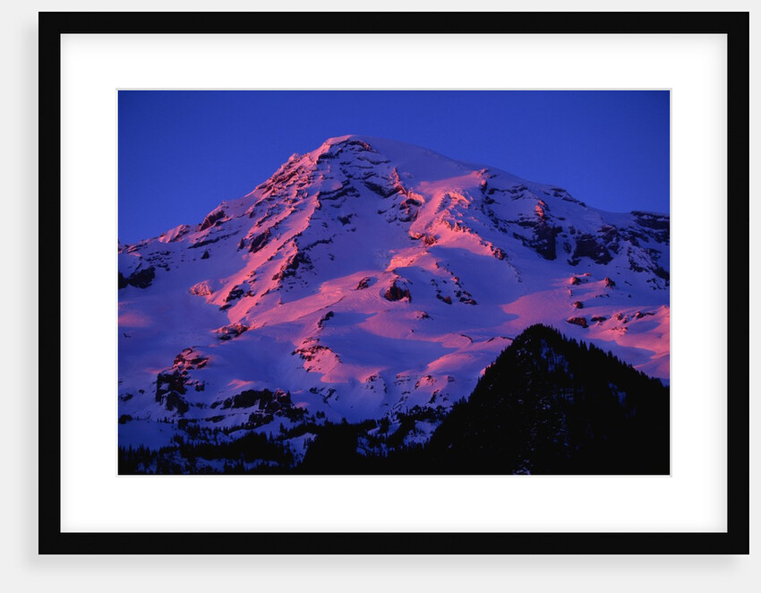 Sunset Alpenglow on Mount Rainier by Anonymous