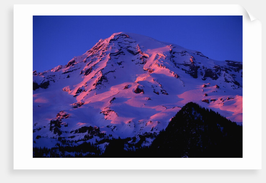 Sunset Alpenglow on Mount Rainier by Anonymous