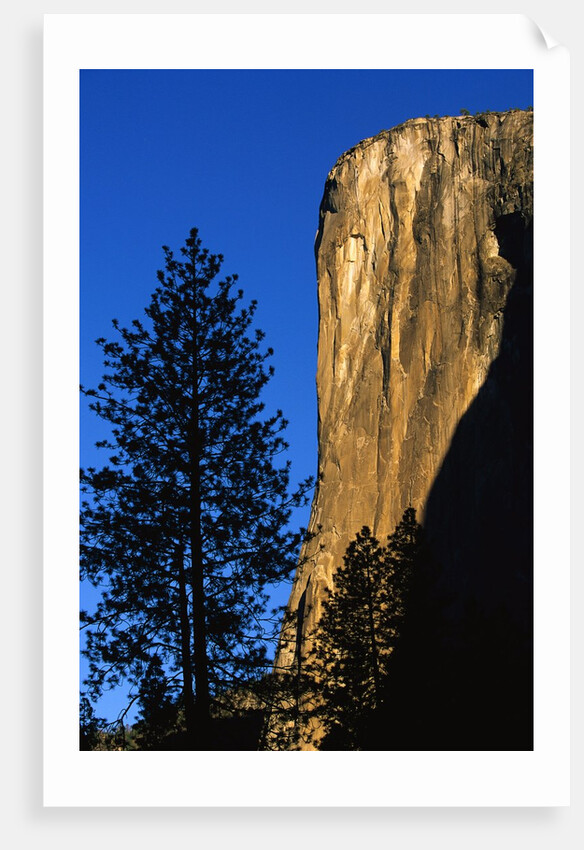 Sunlight Shining on El Capitan by Anonymous