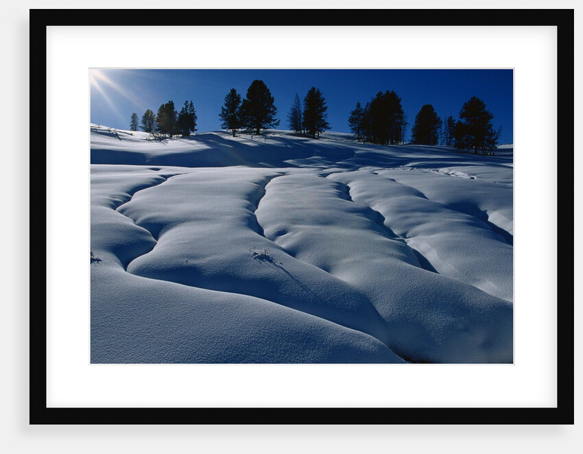 Hillside Covered in Snow by Anonymous