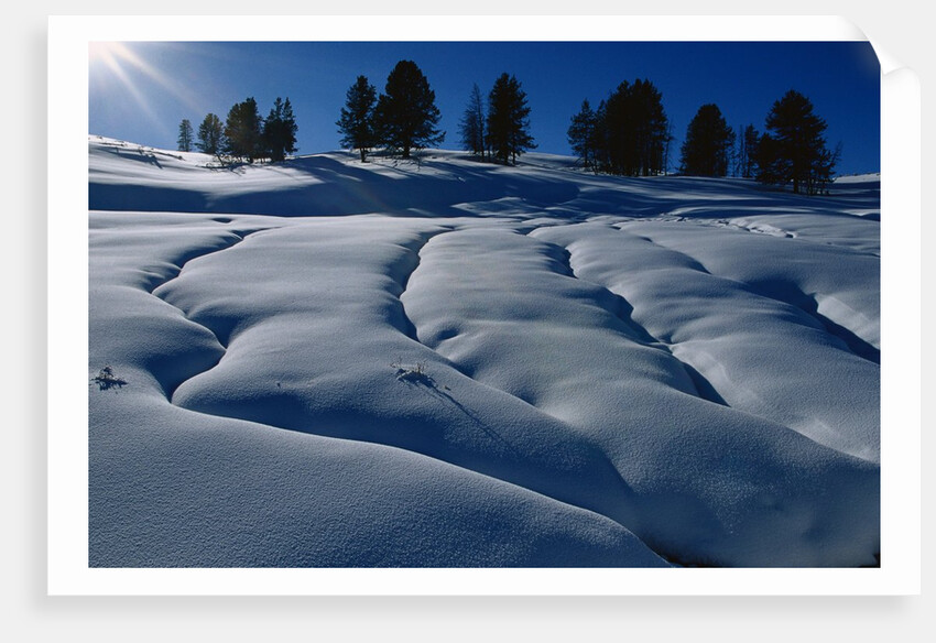 Hillside Covered in Snow by Anonymous