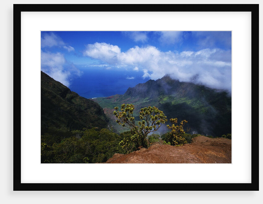 Hills Along the Napali Coast by Anonymous
