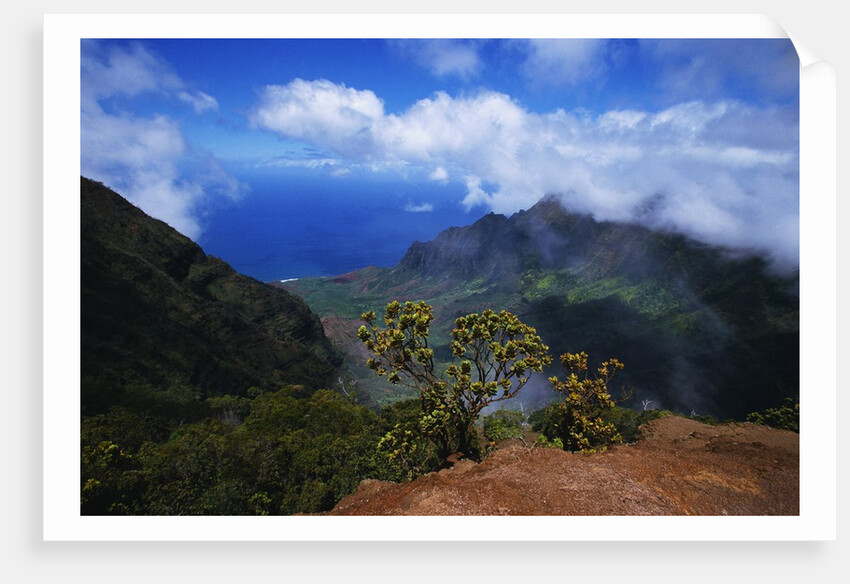 Hills Along the Napali Coast by Anonymous