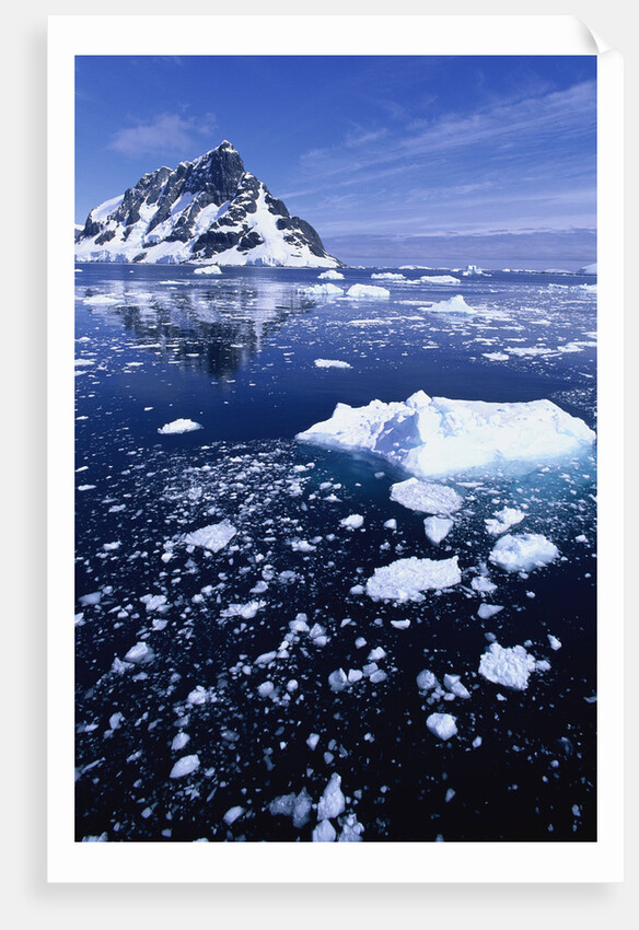 Icebergs in Lemaire Channel by Anonymous