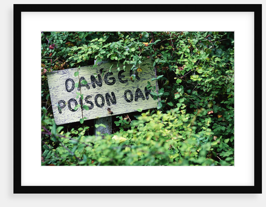 Poison Oak Warning Sign by Anonymous