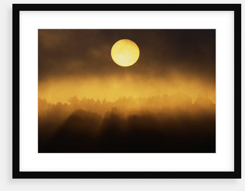 Sunrise Through Fog by Anonymous