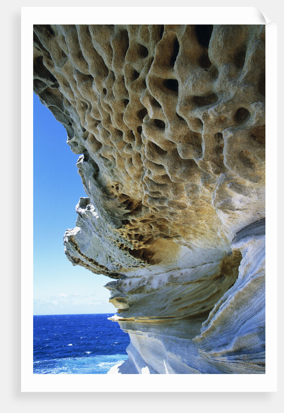 Cliff Eroding at Maroubra Beach by Anonymous