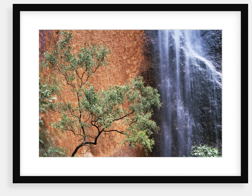Ayers Rock Waterfall by Anonymous