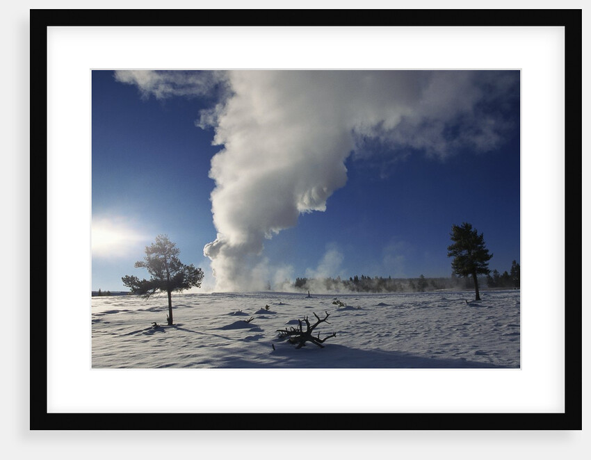 Old Faithful Geyser Erupting in Winter by Anonymous