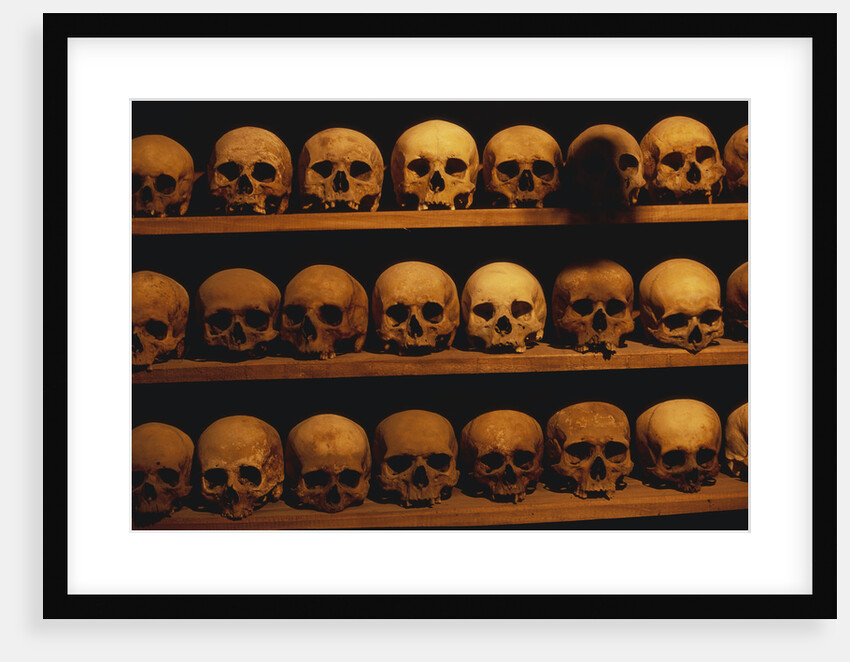 Shelves of Monk Skulls at Great Meteoron Ossuary by Anonymous