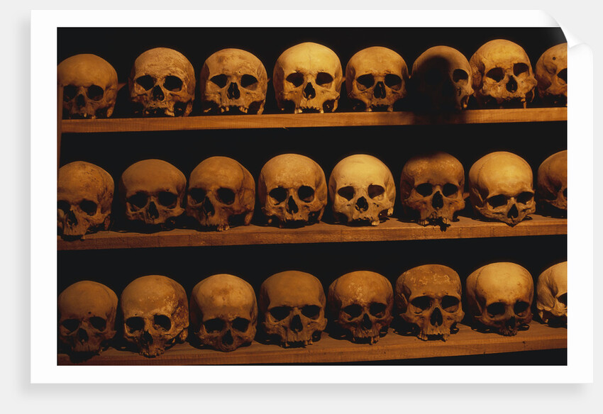 Shelves of Monk Skulls at Great Meteoron Ossuary by Anonymous