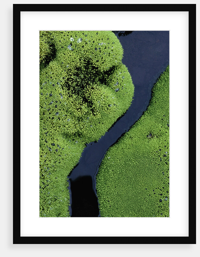 Mountain Stream in Iceland by Anonymous
