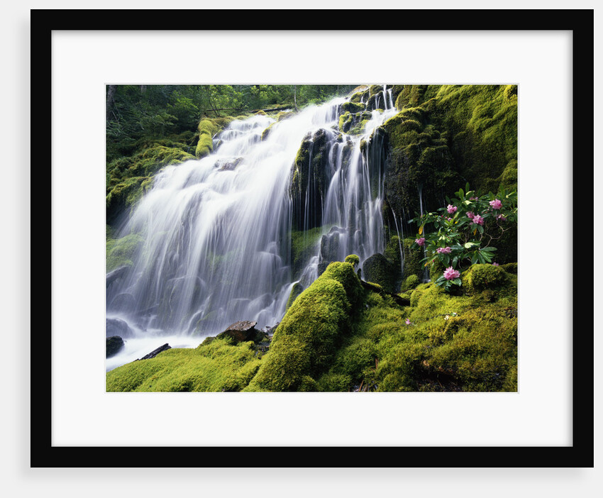 Proxy Falls in Oregon by Anonymous