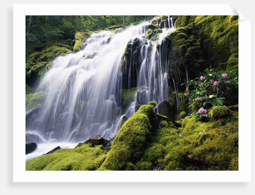 Proxy Falls in Oregon by Anonymous