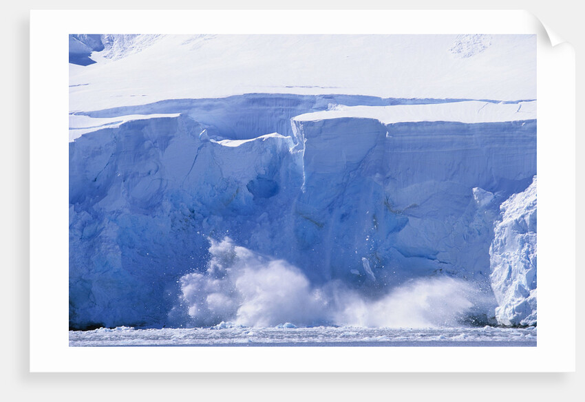 Glacier Calving Iceberg into Paradise Bay in Antarctica by Anonymous