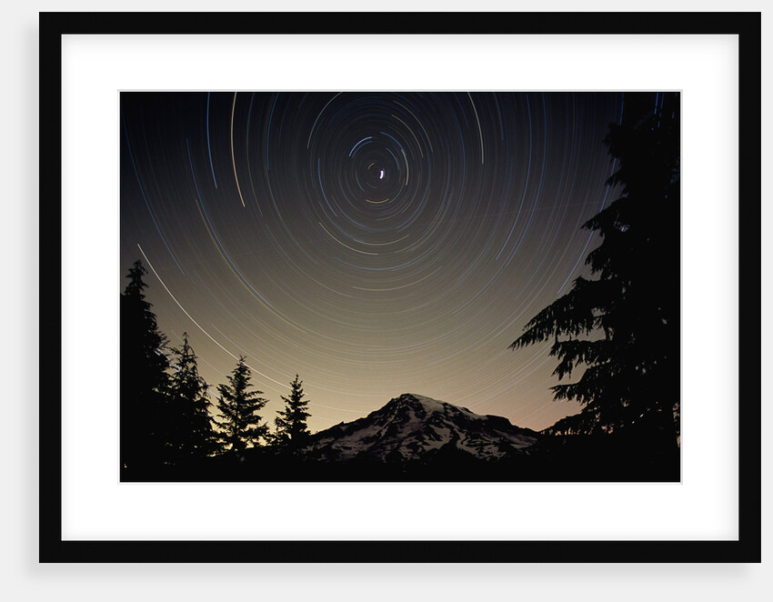 Star Trails Circle Above Mount Rainier by Anonymous