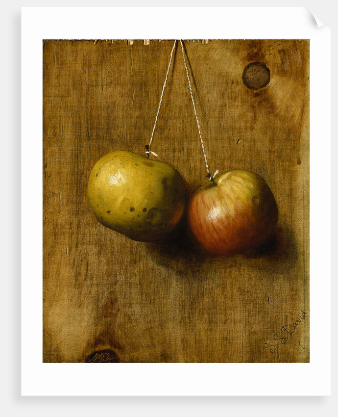 Hanging Apples by Stanley S. David