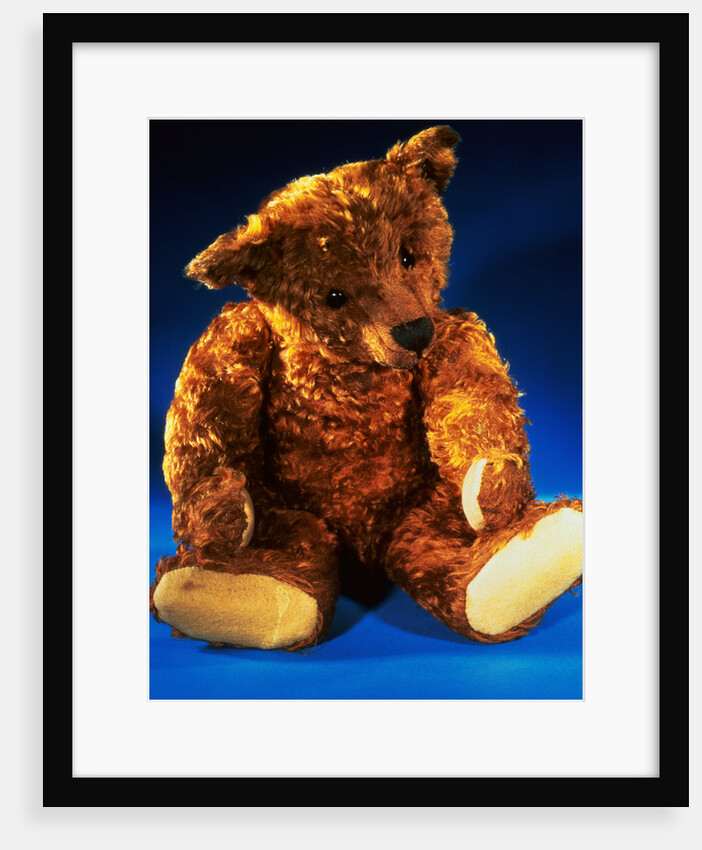 Teddy Girl by Steiff by Anonymous