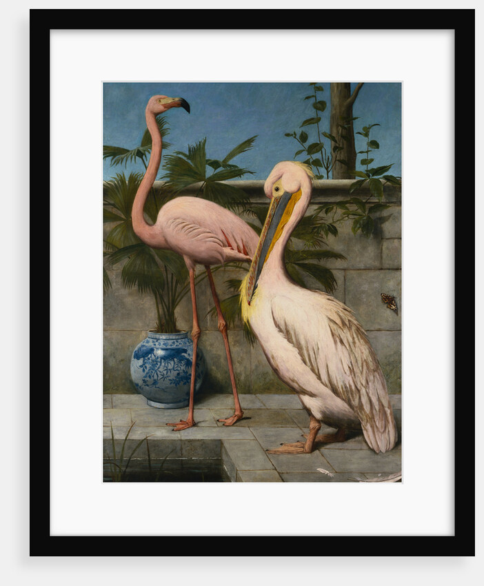Flamingo and Pelican by Henry Stacy Marks