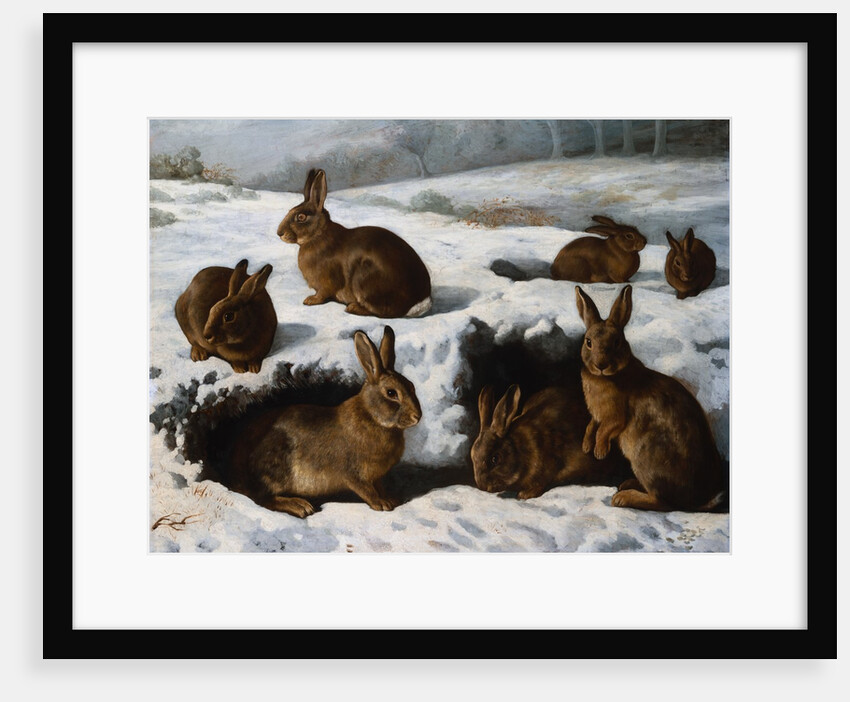 Rabbits in the Snow by William Luker