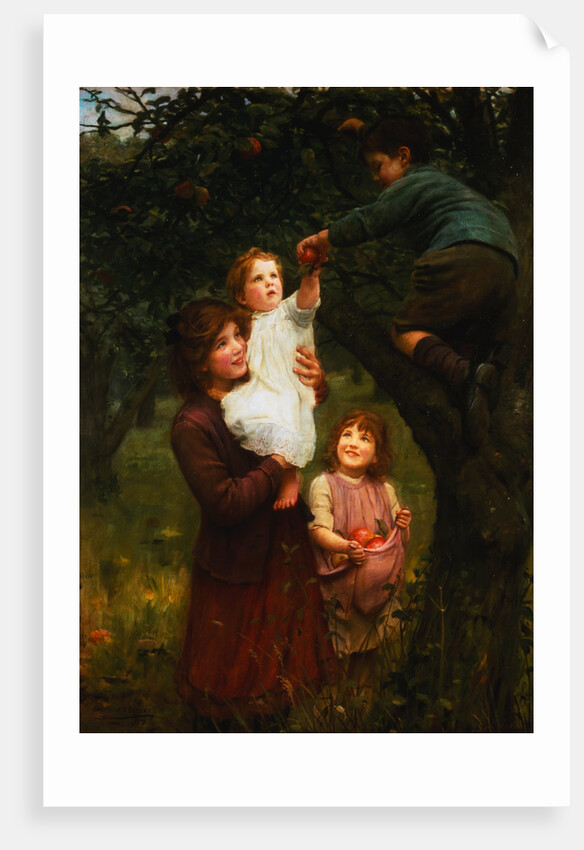 Picking Apples by Arthur Elsey