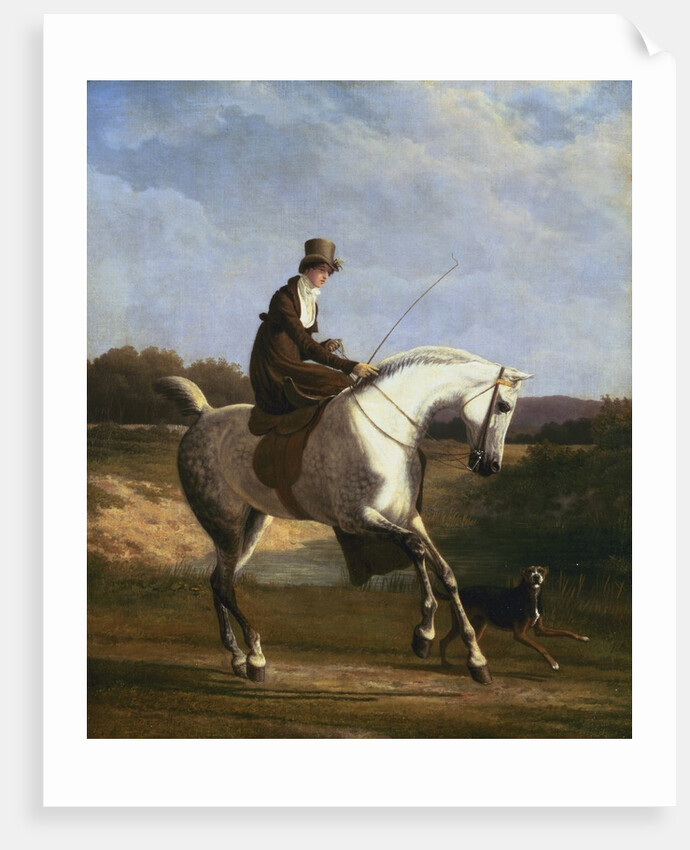 Miss Cazenove on a Grey Hunter by Jacques-Laurent Agasse