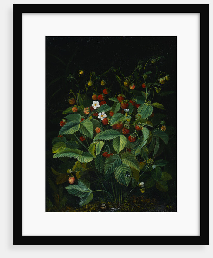 Wild Strawberries by Otto Diderich Ottesen