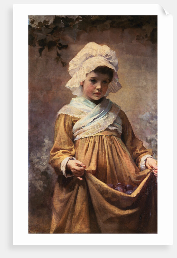 Gathering Plums by Harriette Sutcliffe