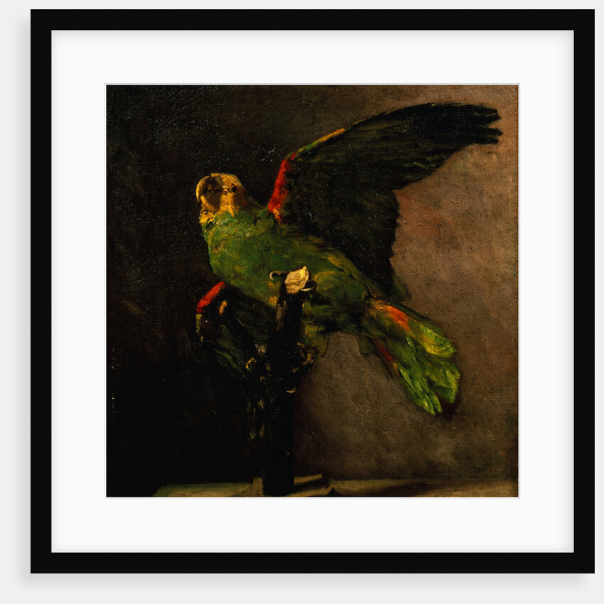 The Green Parakeet by Vincent Van Gogh