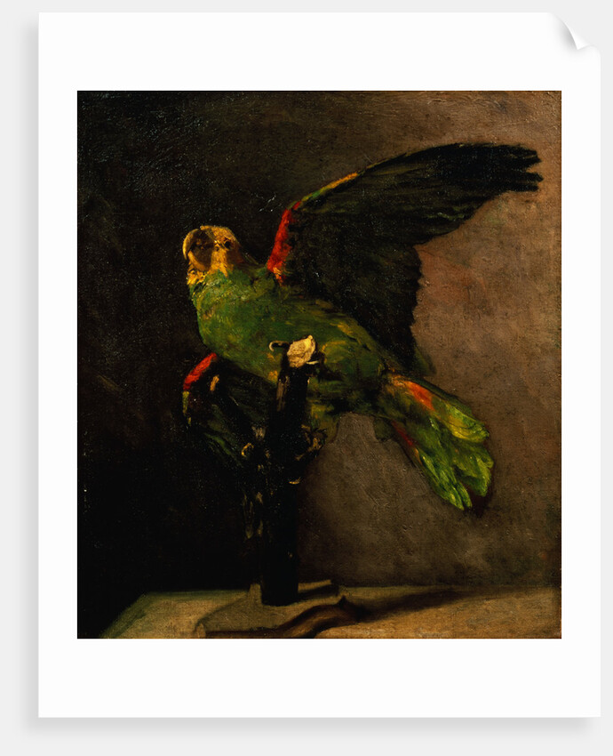 The Green Parakeet by Vincent Van Gogh